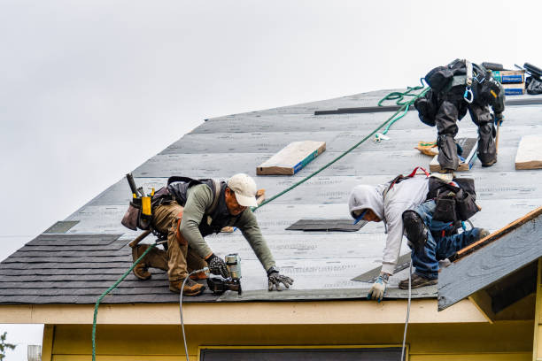 Professional Storm Damage Roof Repair technician working in Rowland, NC